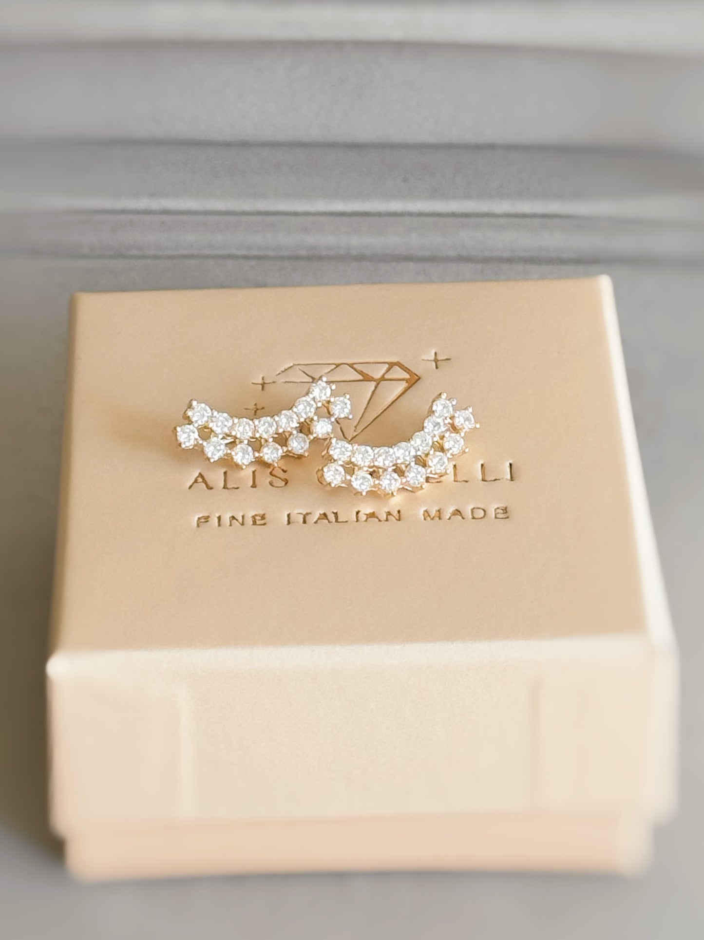 Orecchini rampicanti reina