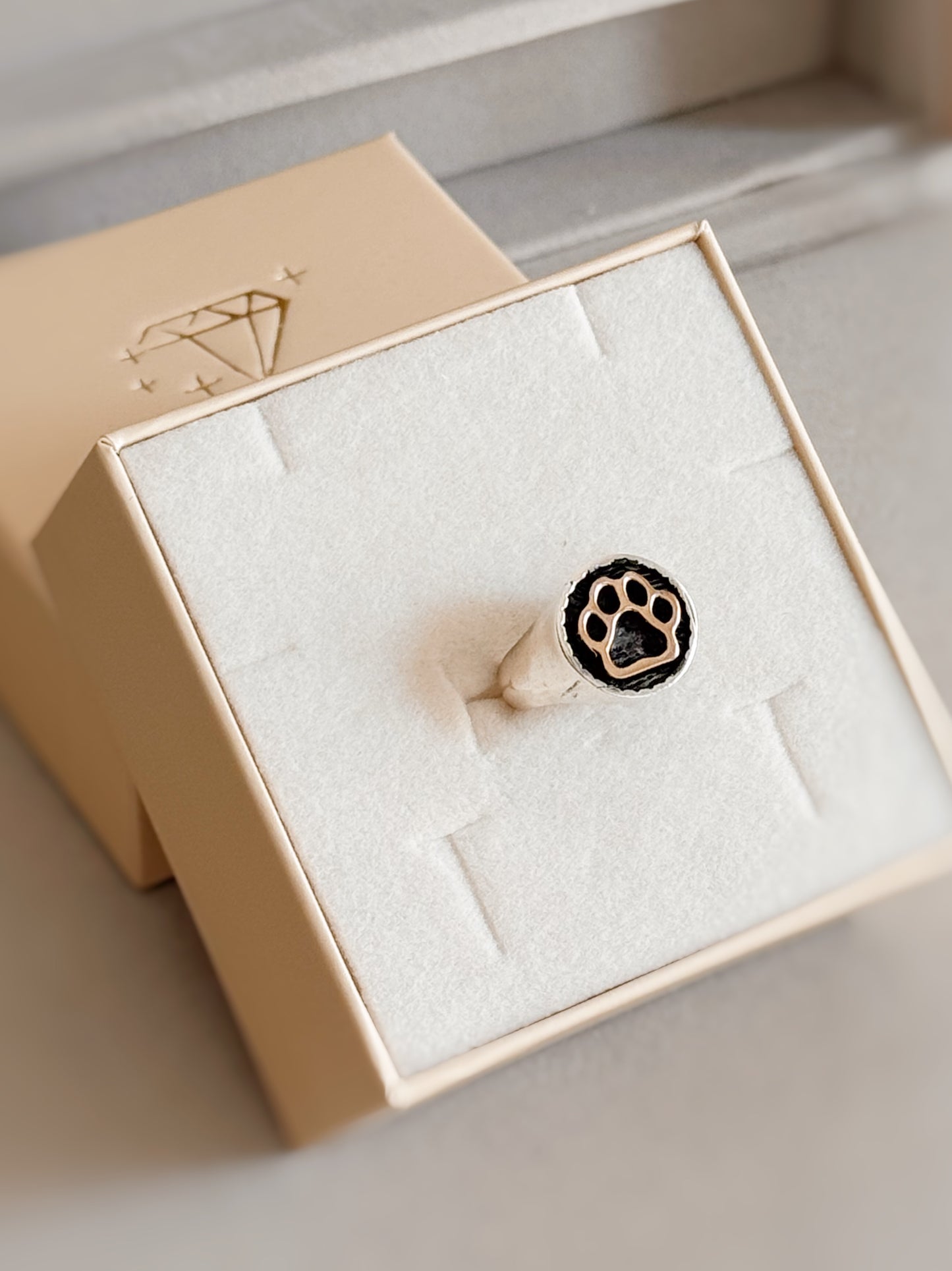 Anello chevalier con simboli personalizzabili
