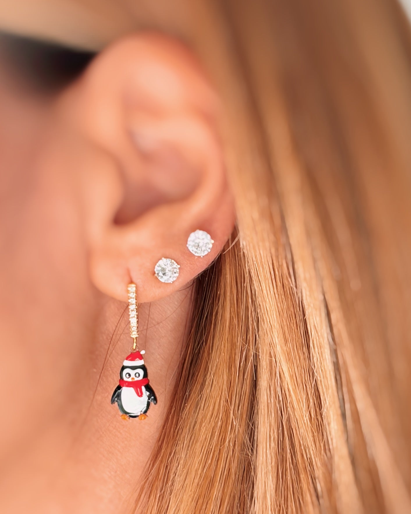 Monocerchietto e pinguino